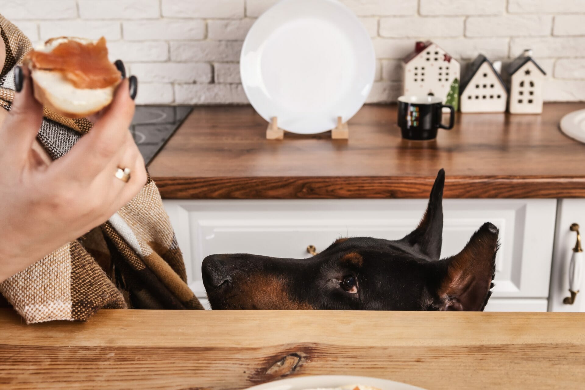 how much to feed a doberman puppy